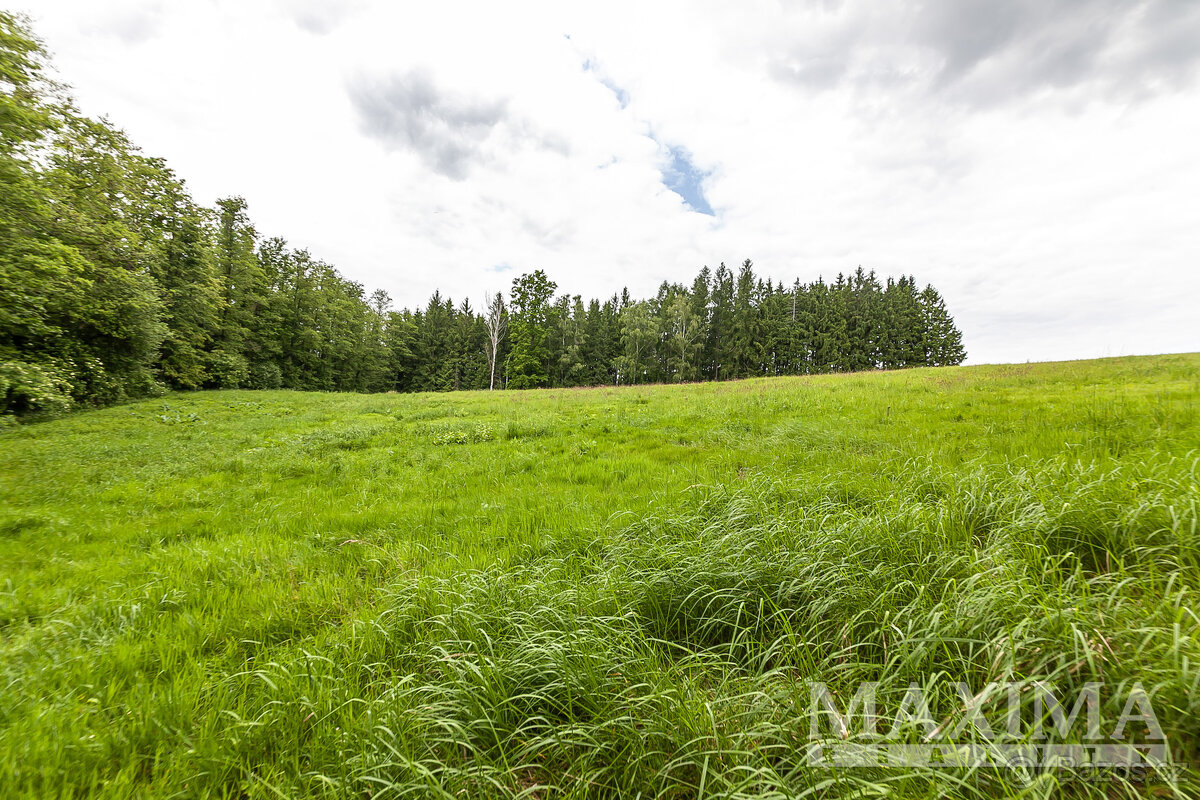 Pozemek o ploše 53442 m2 - Višňová, - 6