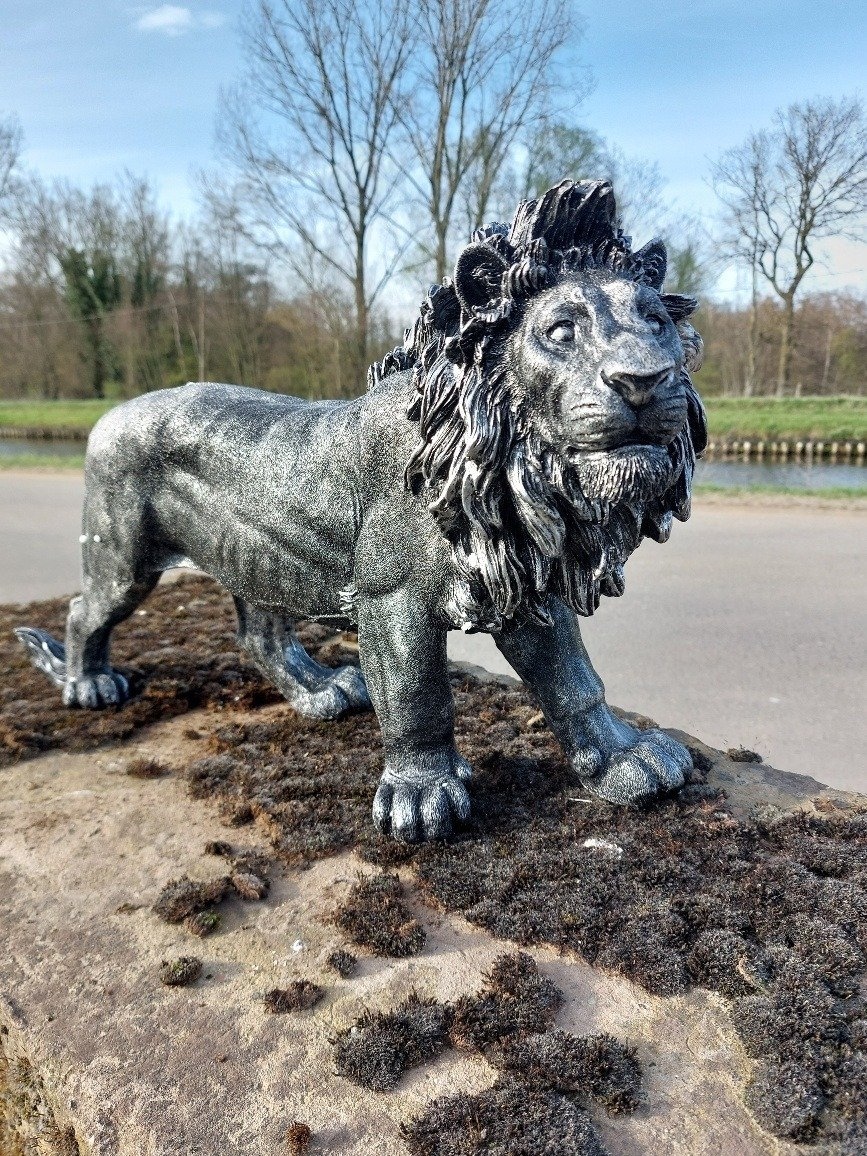 Socha stříbrného Lva Polyresin, 60cm - 6