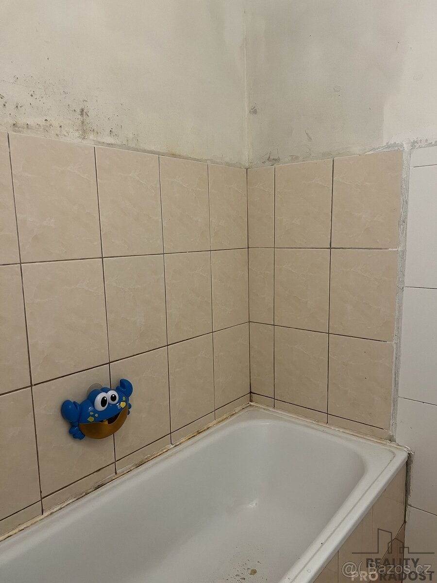 Prodej bytu 2+1 v Ústí nad Labem, byt 2+1 Mojžíř - 6