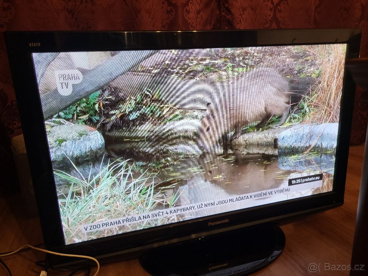 Plazmová televize Panasonic, 42" - 6