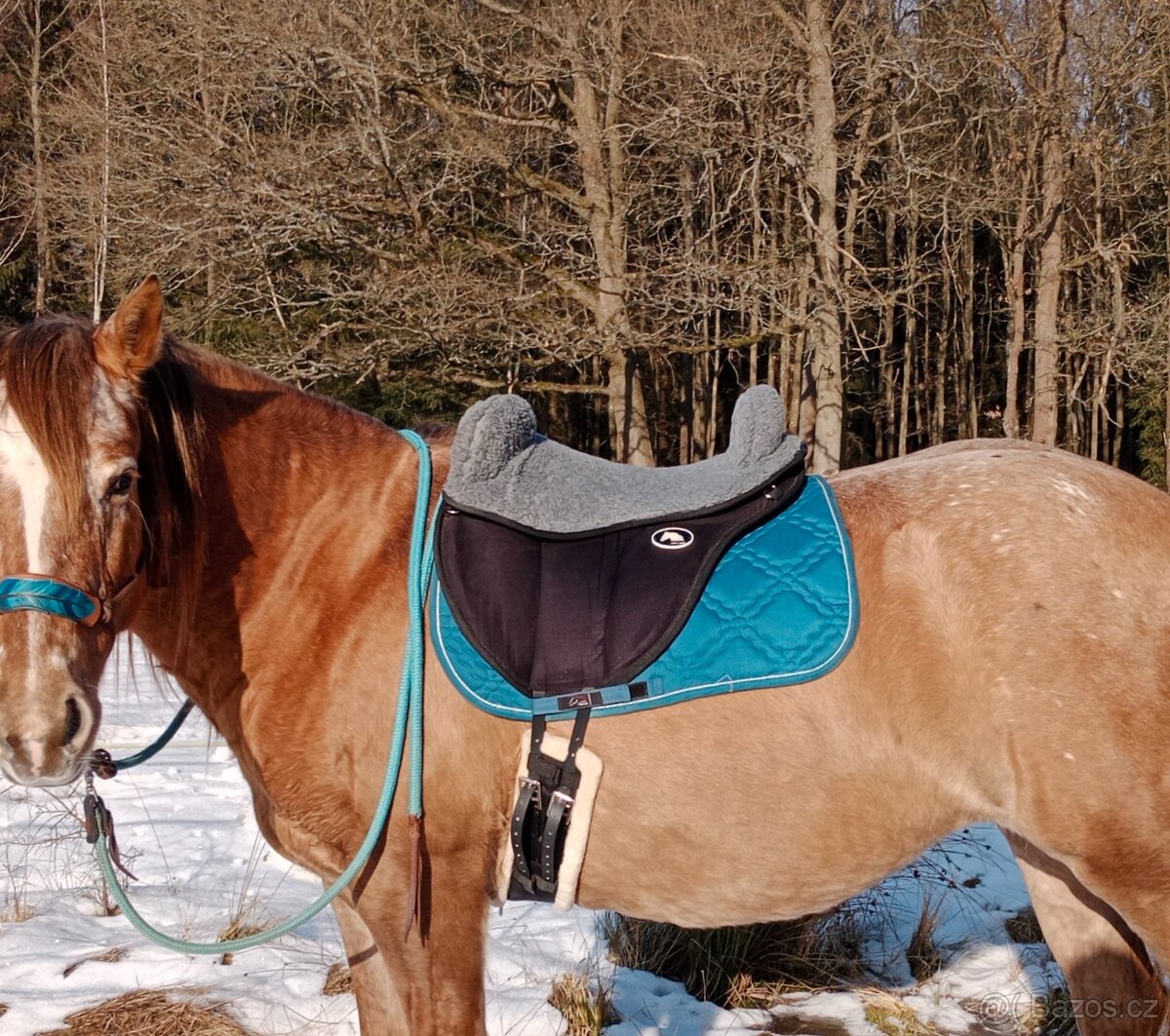 Jezdecký pad - 6