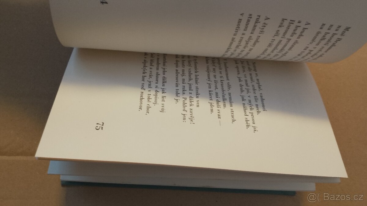 B.Pasternak. Lyrika.Poezie - 6