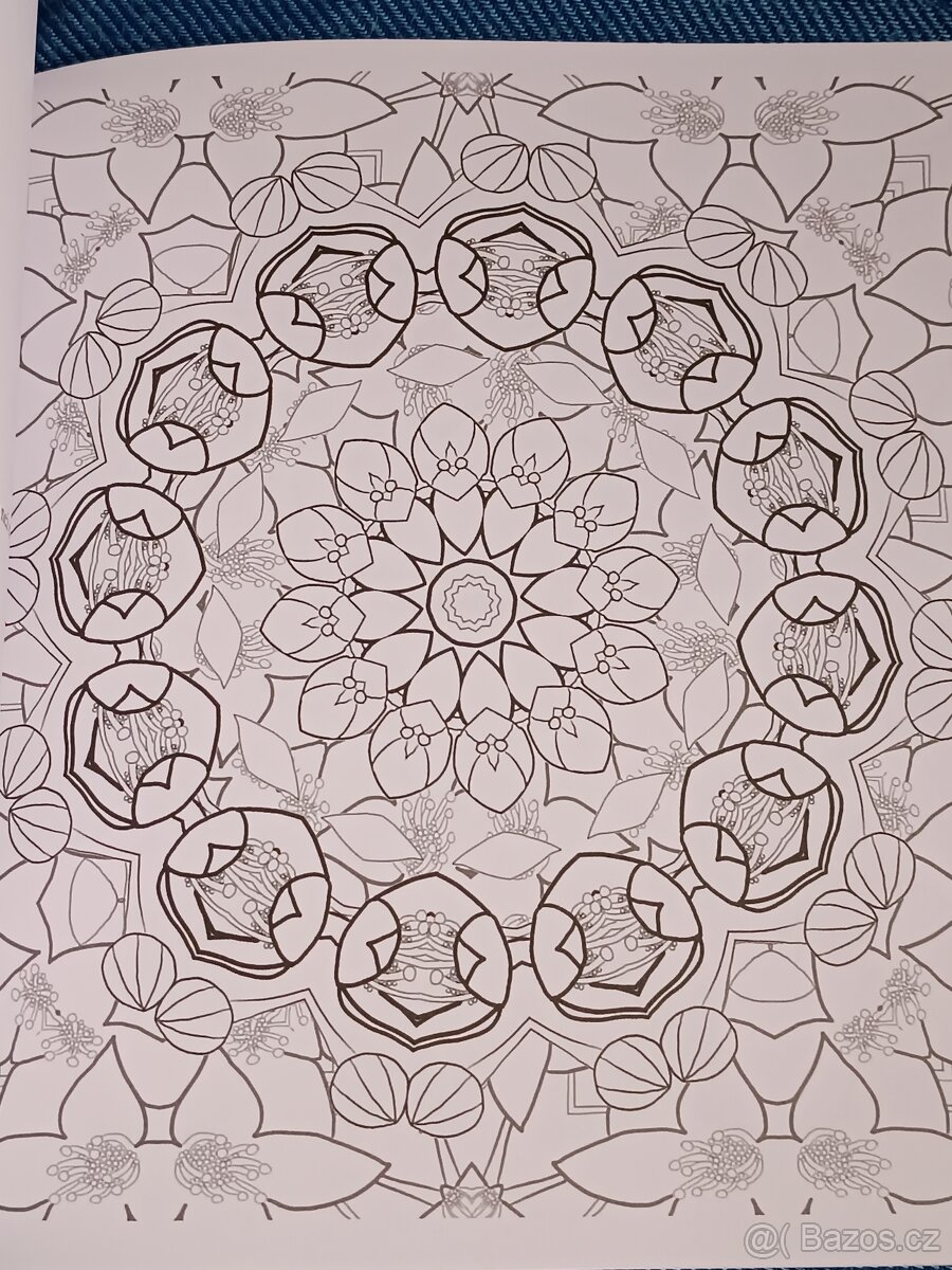 Omalovánky pro dospělé: Inspirativní a ............. - 6