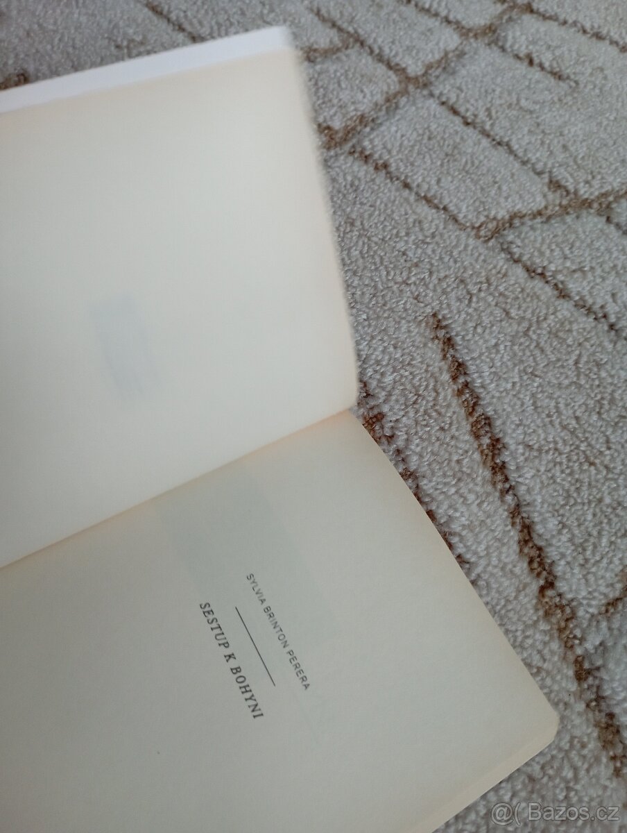 Sylvia Brinton Perera: Sestup k Bohyni - 6