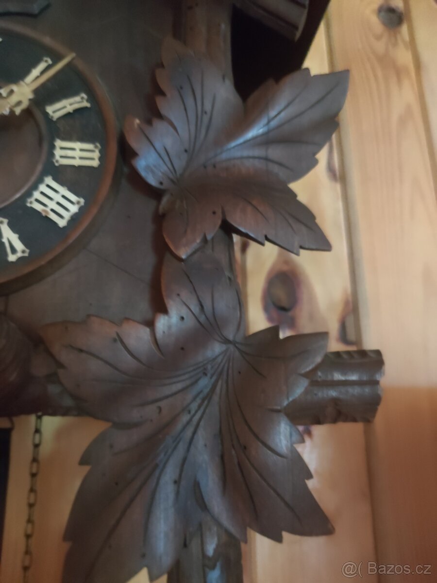 České kukačky - 6