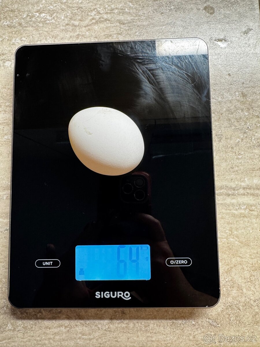 Domácí vajíčka - 6