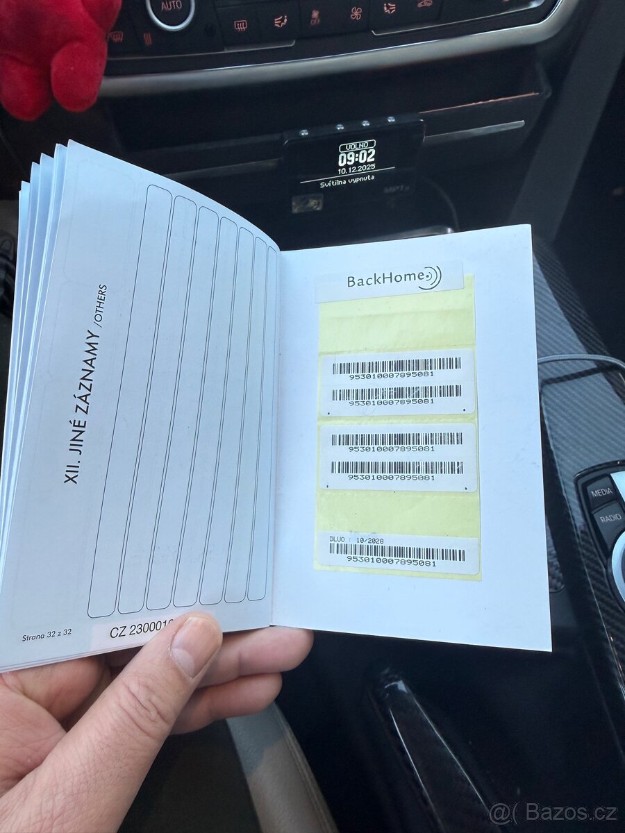 Americké stafford - 6