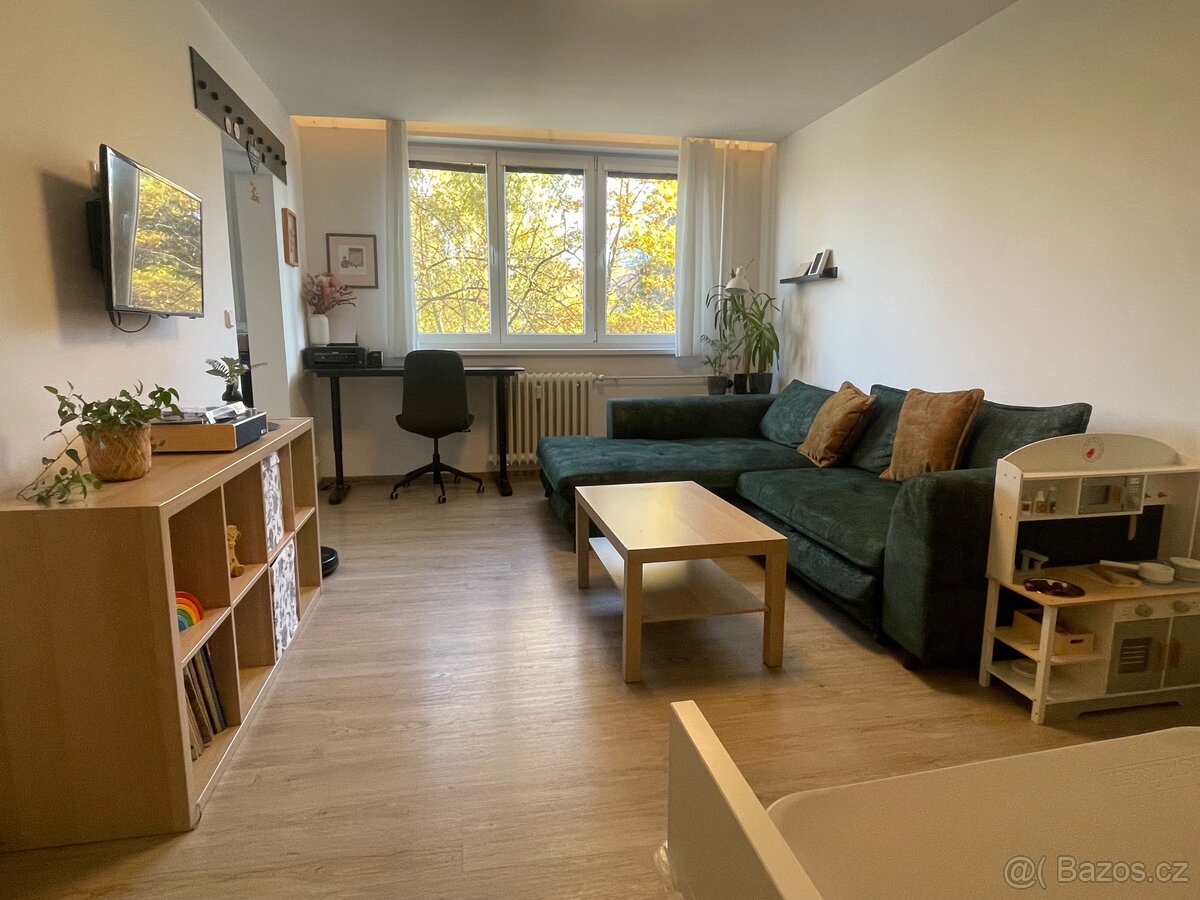 Pronájem 2+1, od března, po reko, super lokalita - 6