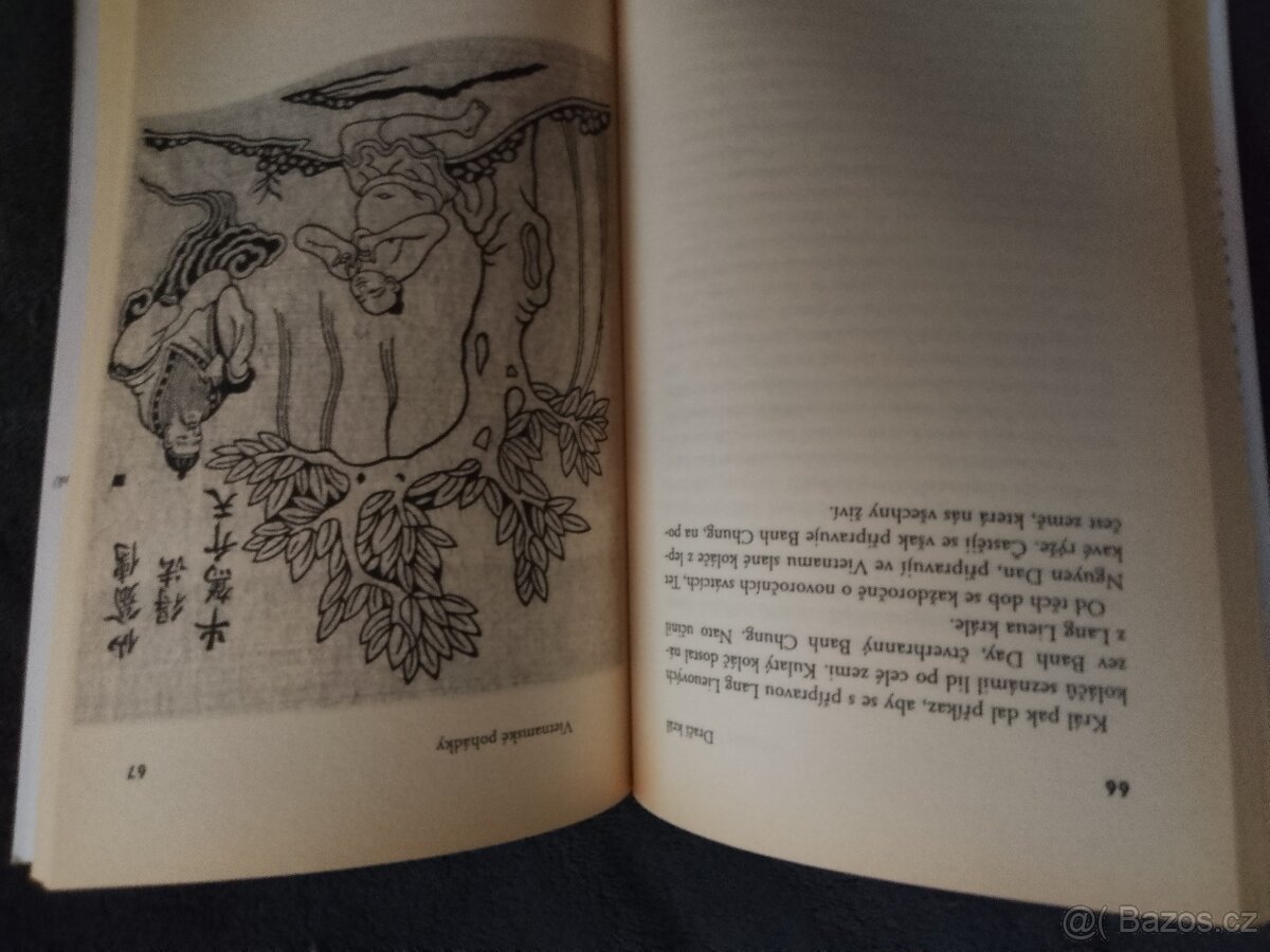 Drači kral. Vietnamske pohadky - 6