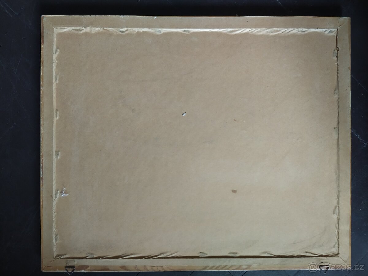 Obraz Akvarelová malba 55×45cm. signová - 6