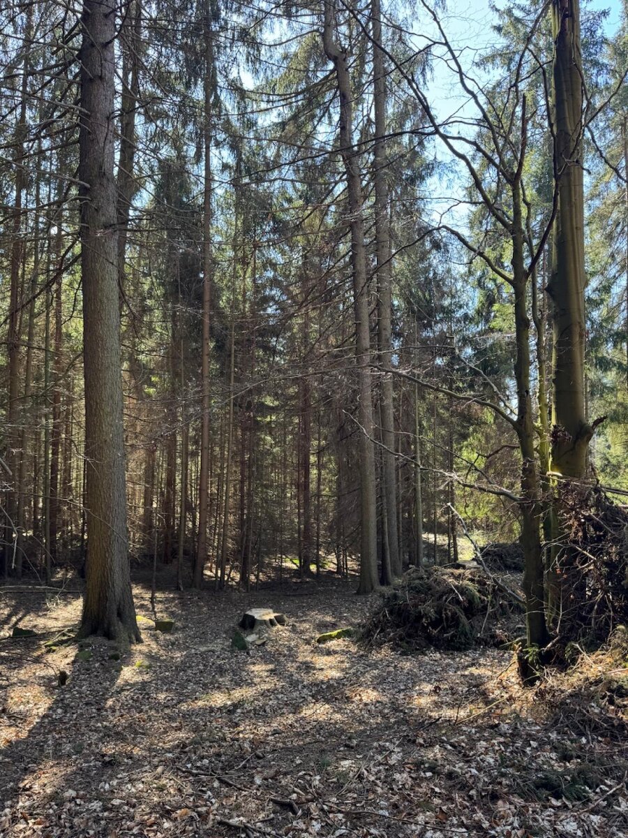 Prodám pozemky v k.ú. Horní Bolíkov - 6