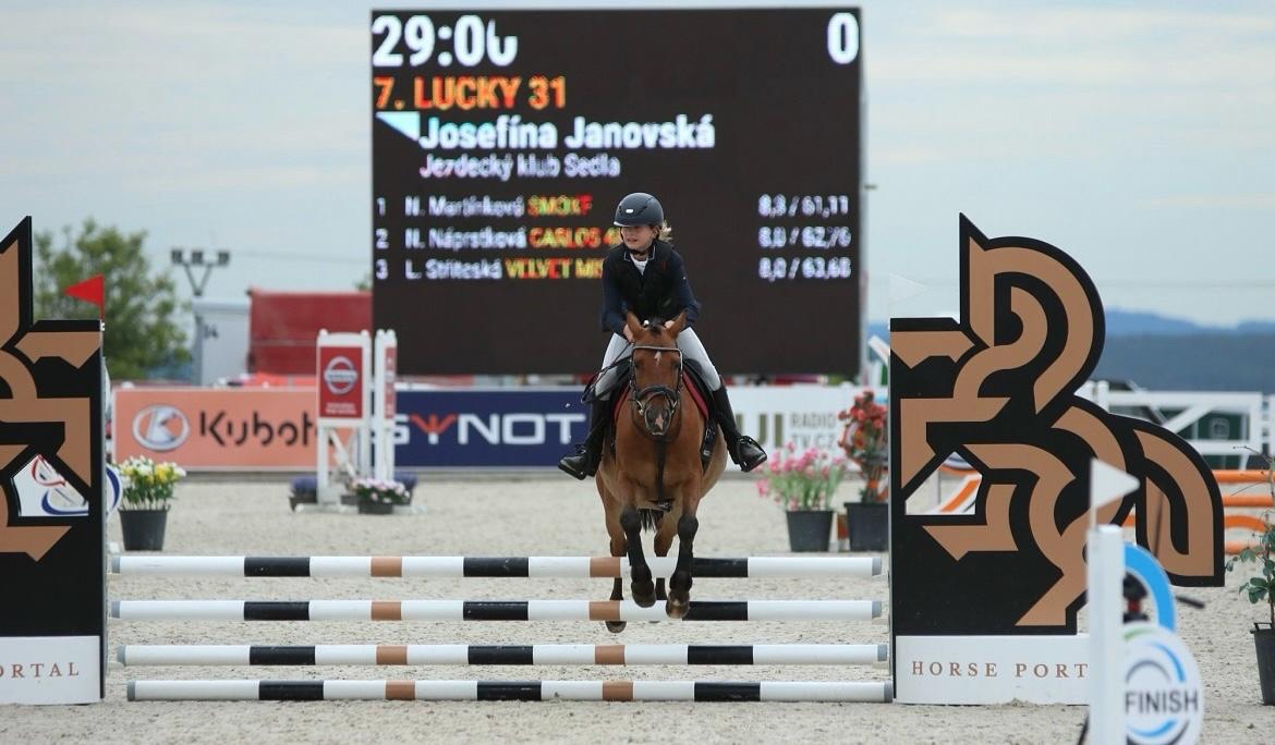 Prodej - Pony - 6