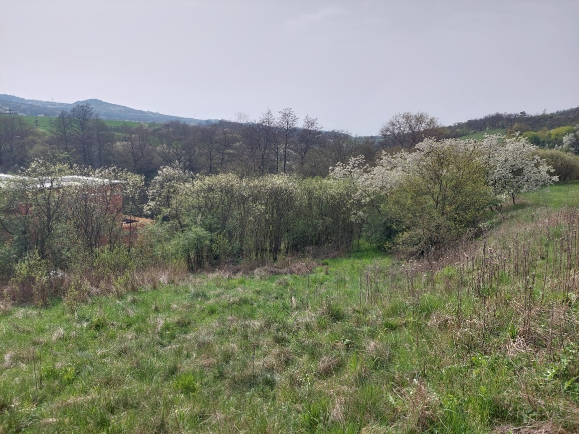 STAVEBNÍ POZEMEK NA KLIDNÉM MÍSTĚ KOUSEK OD TEPLIC. - 6