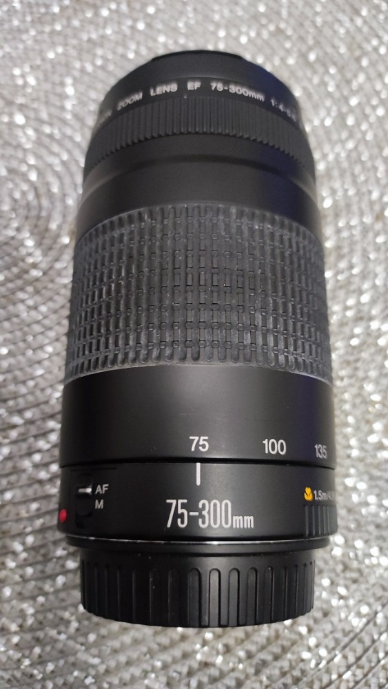 Digitální zrcadlovka Canon EOS 350D+2x objektiv+filtry Agfa - 6