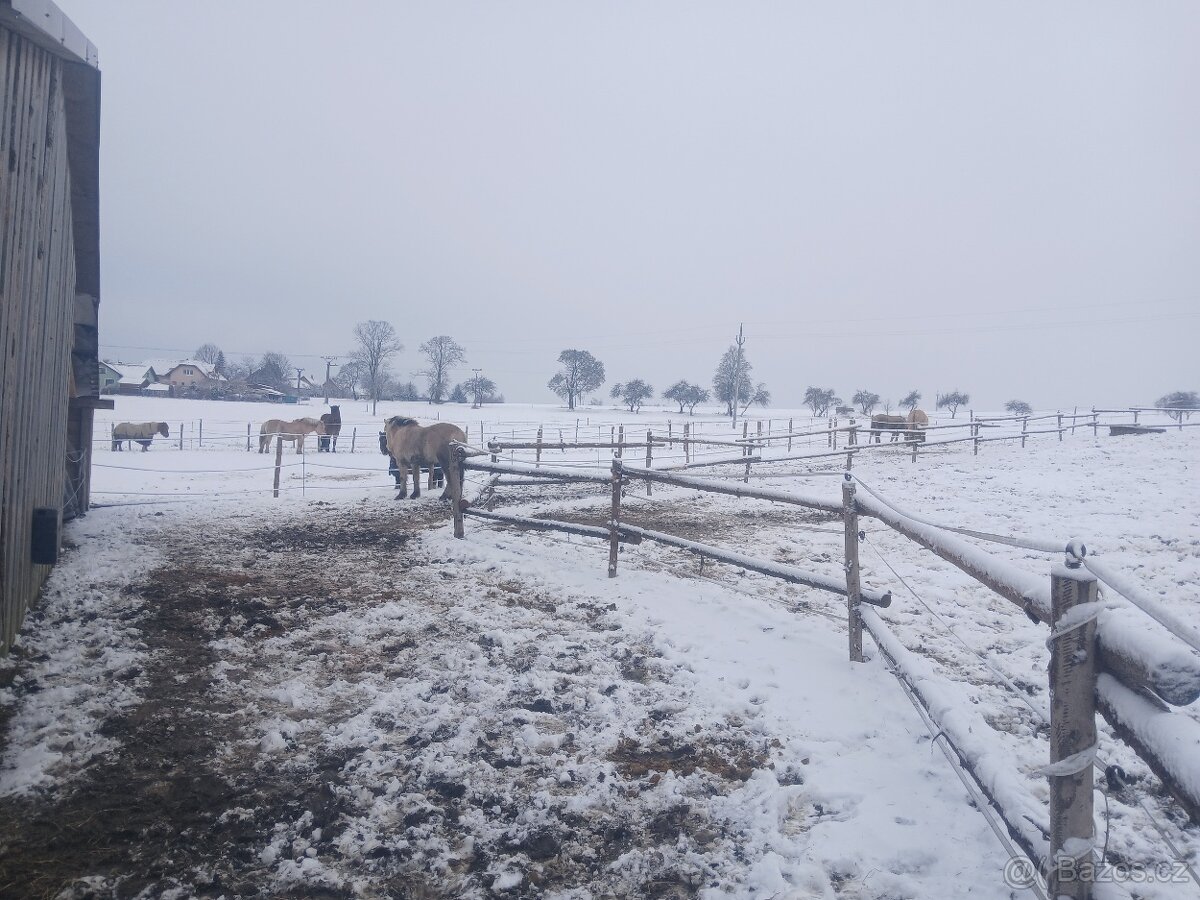 Nabidka ustajeni - 6