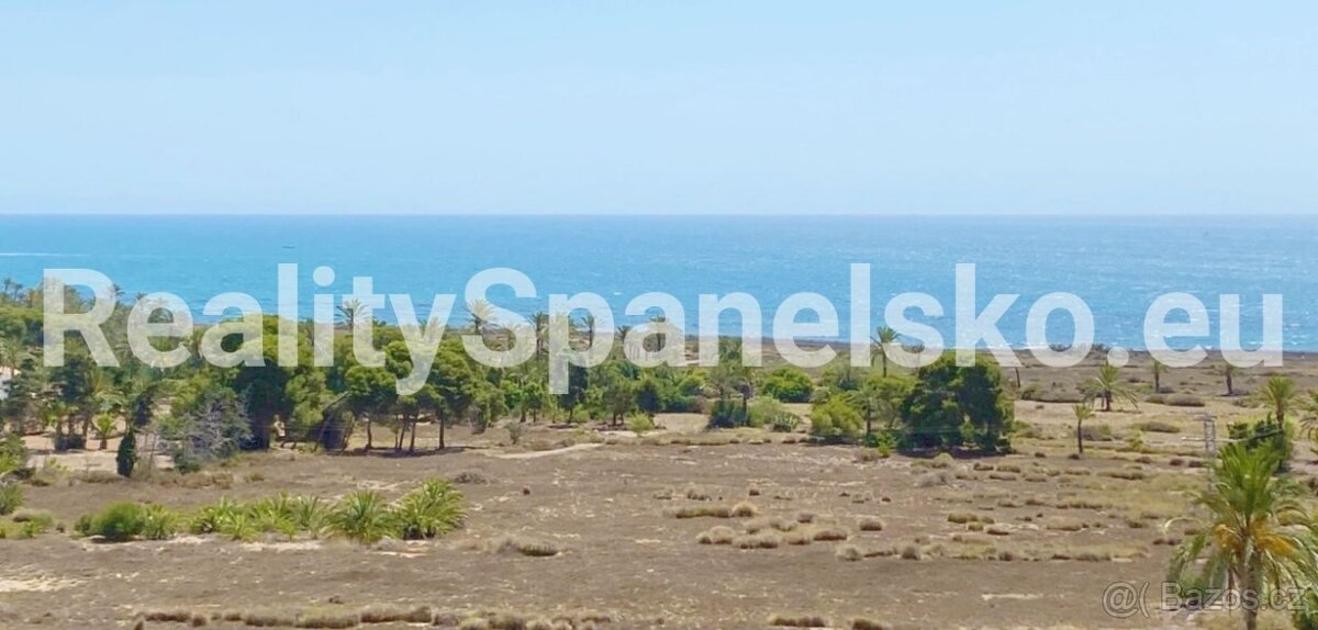 Španělsko – Punta Prima / Torrevieja - 6
