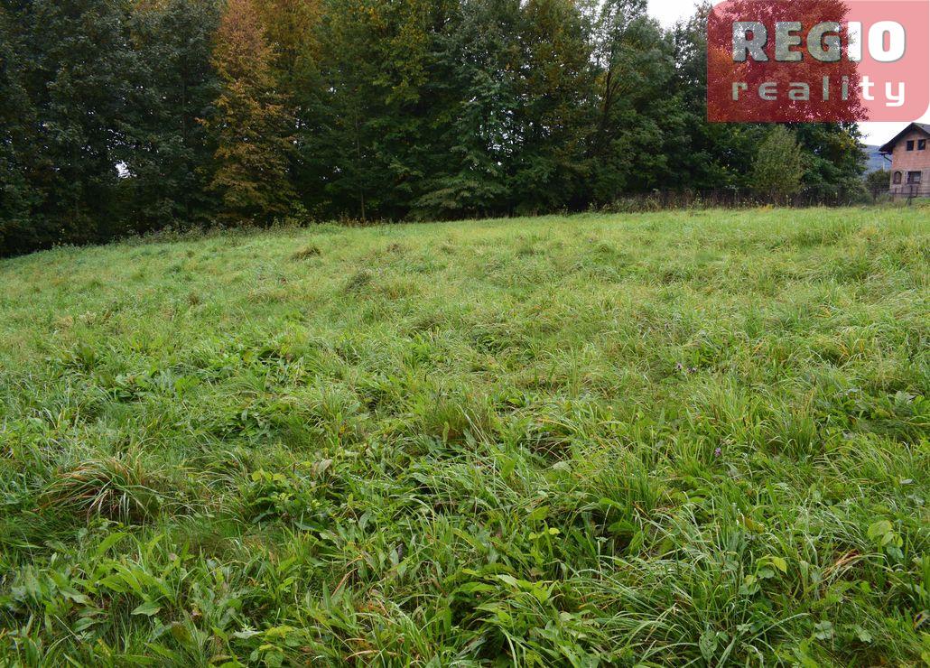 Prodej stavebního pozemku s lesem 3332m2 na Karpentné - 6