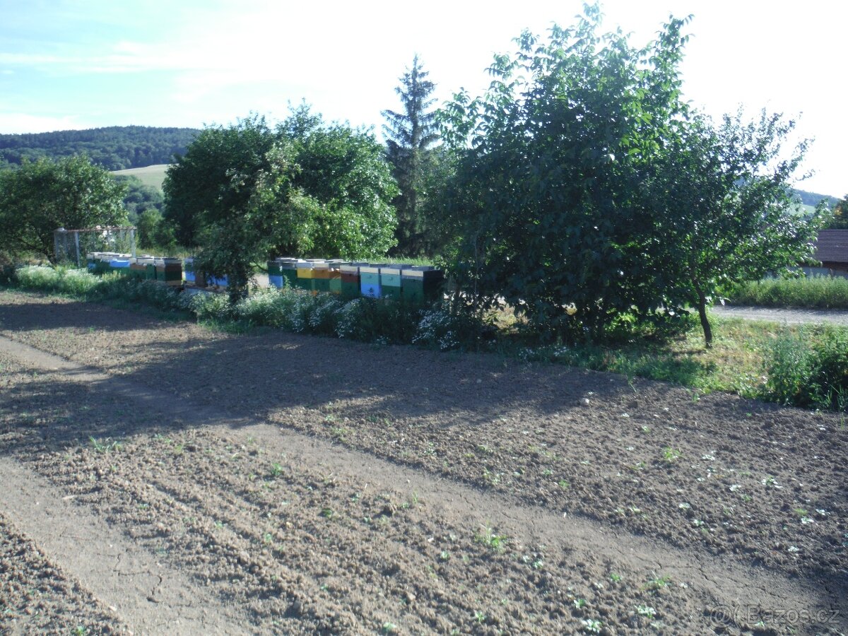 Prodej včelstev i železných stojanů - 6