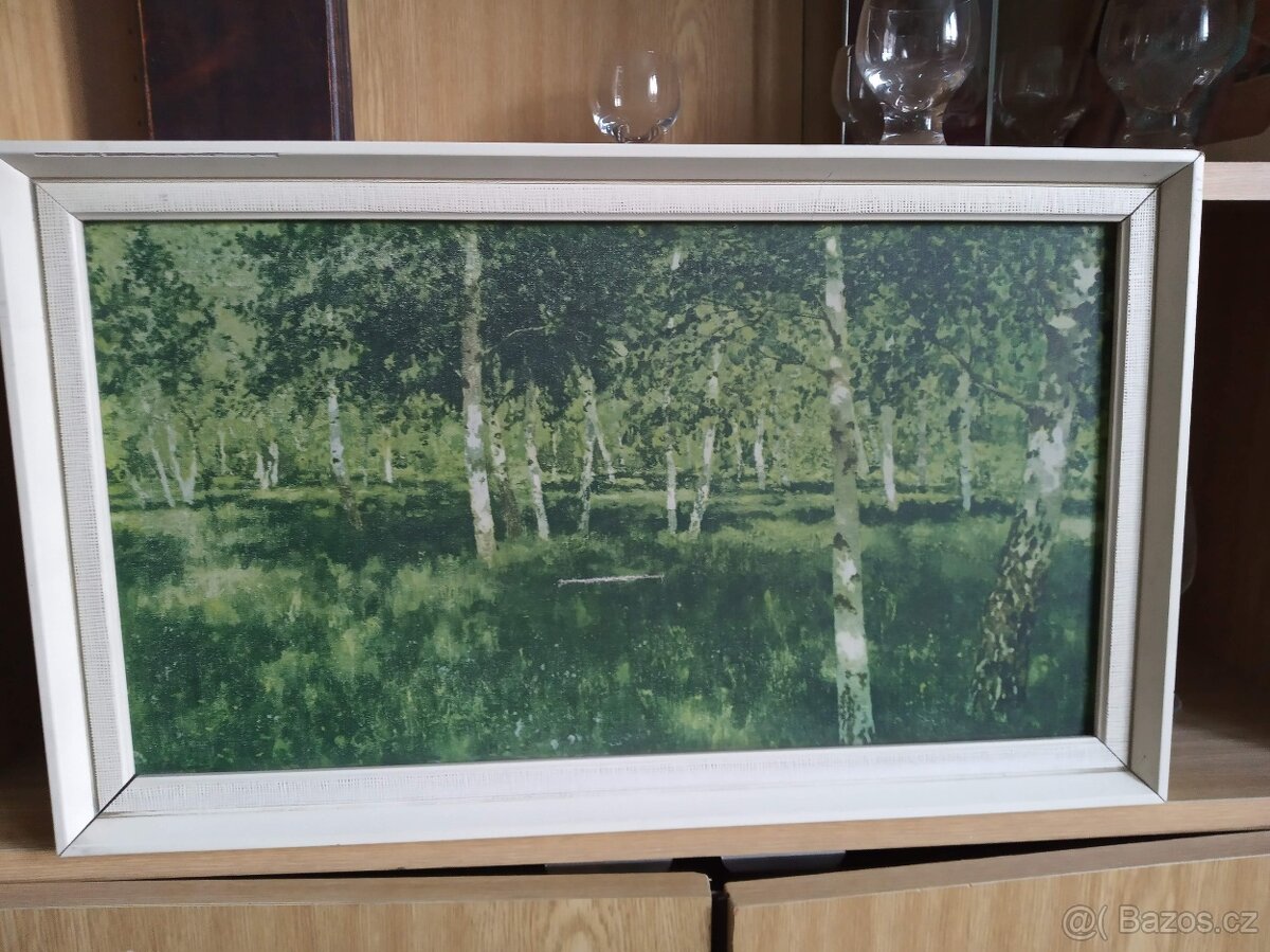 Prodám staré obrazy - 6