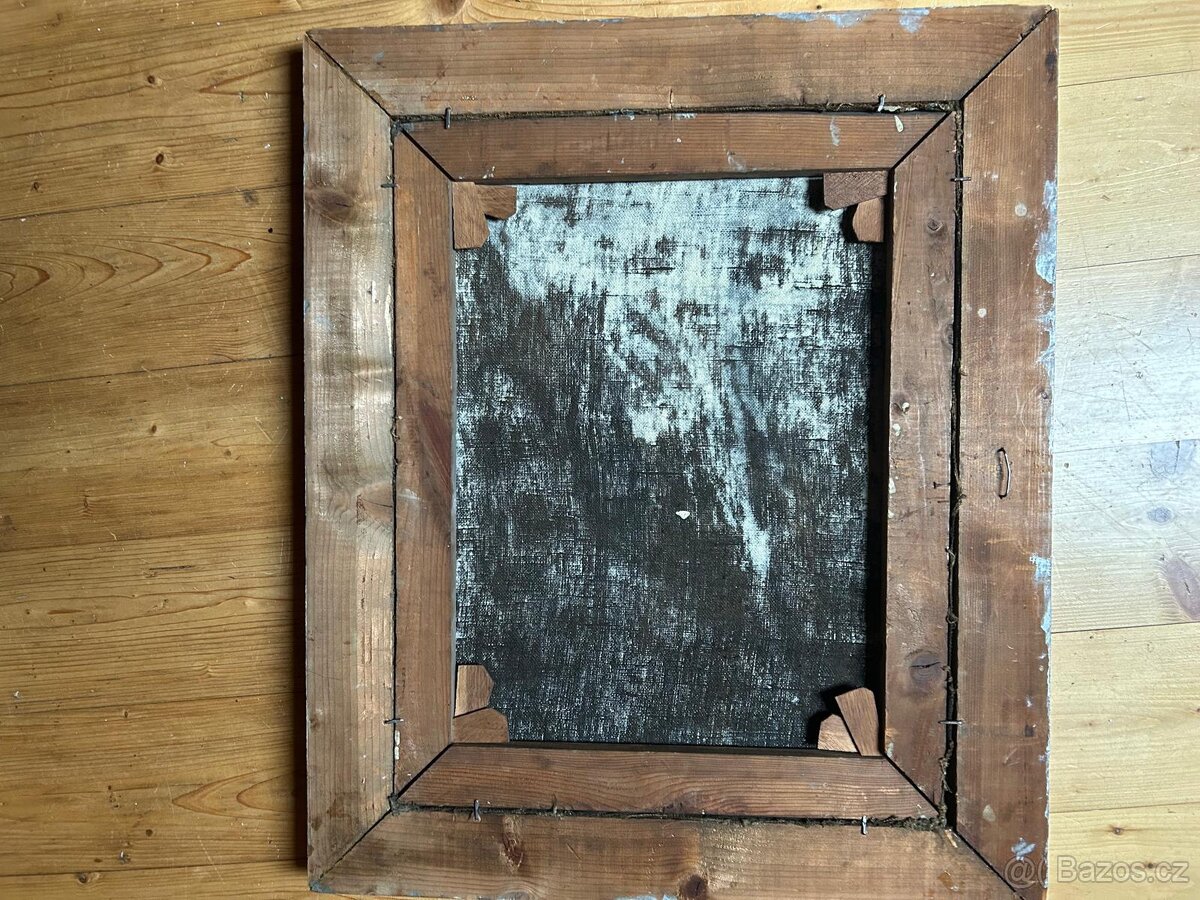 Obraz koně Vacatko - 6