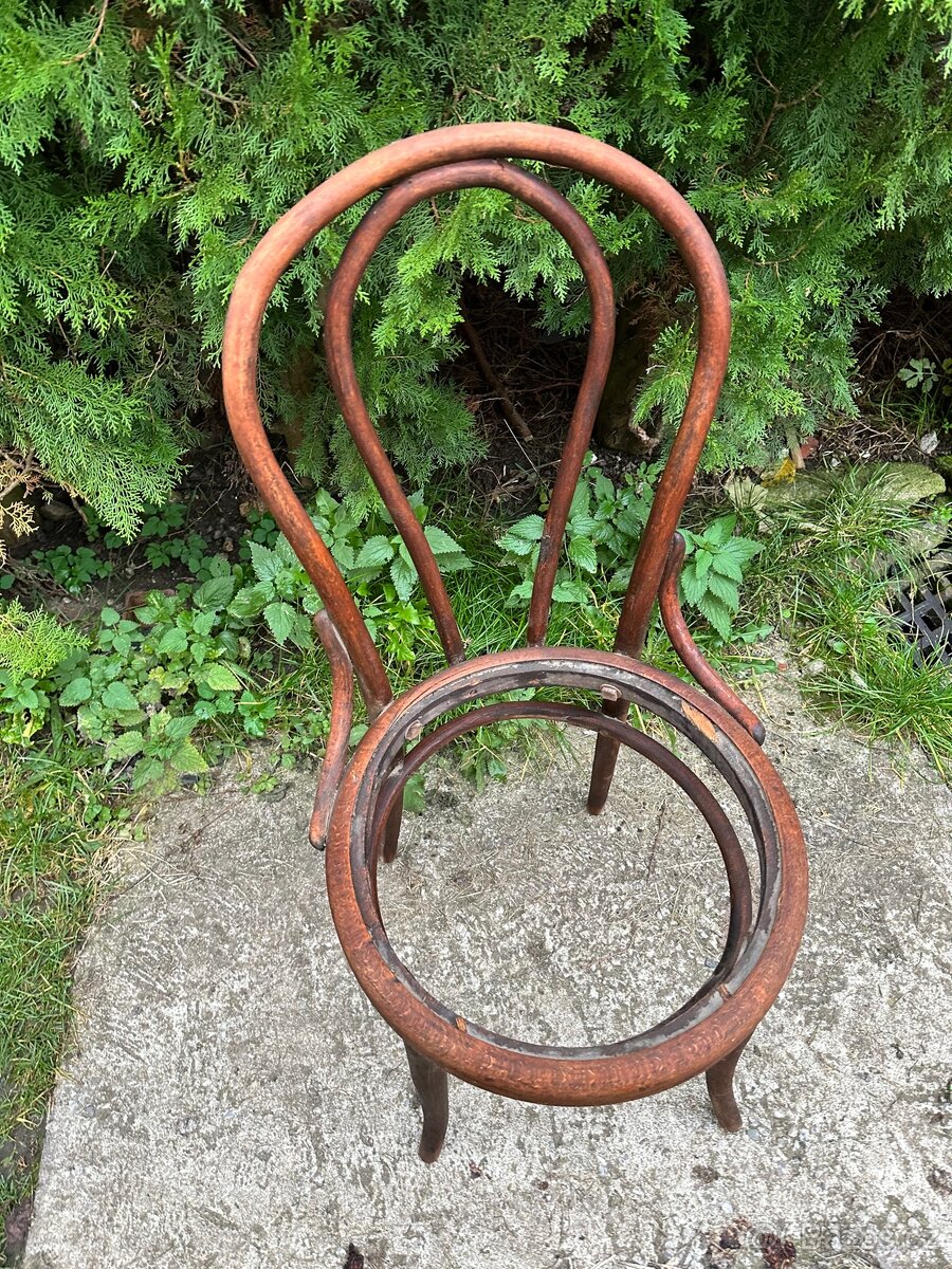 Židle z ohýbaného dřeva - Thonet (2 ks) - 6