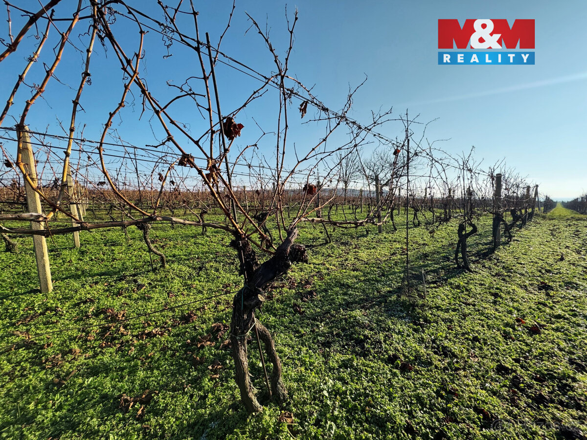 Prodej vinice, 7286 m², Velké Bílovice - 6