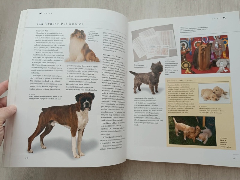 Pes a péče o něj - 6