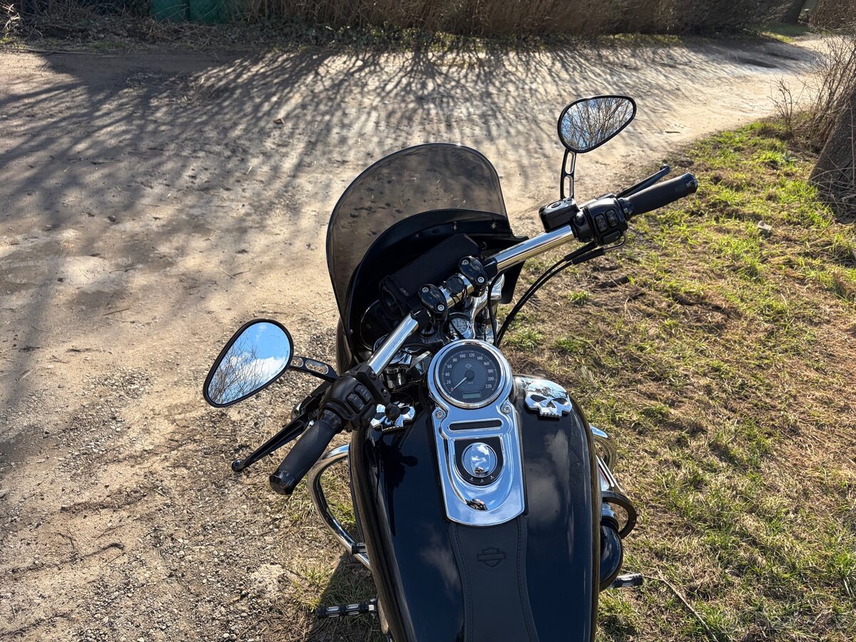 Harley Davidson FXDF Dyna FatBob - 6