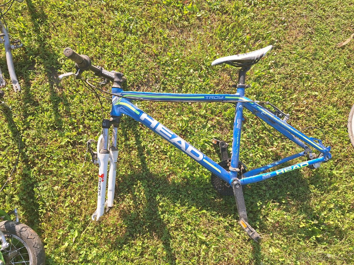 Kola - 6