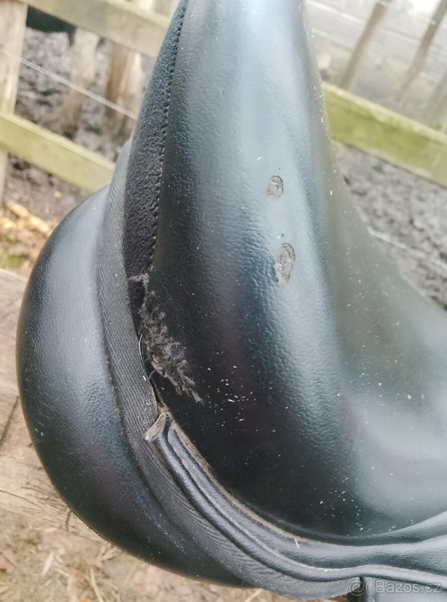 Norton rexina posedli 15 - 6