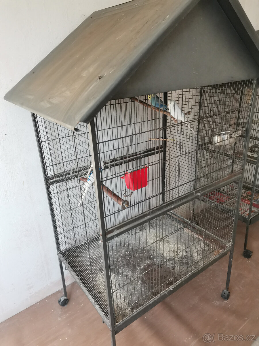 Korely + voliera - 6