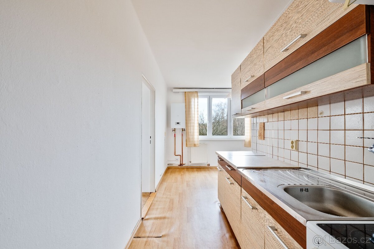 Byt 3+1 v Písku - 6
