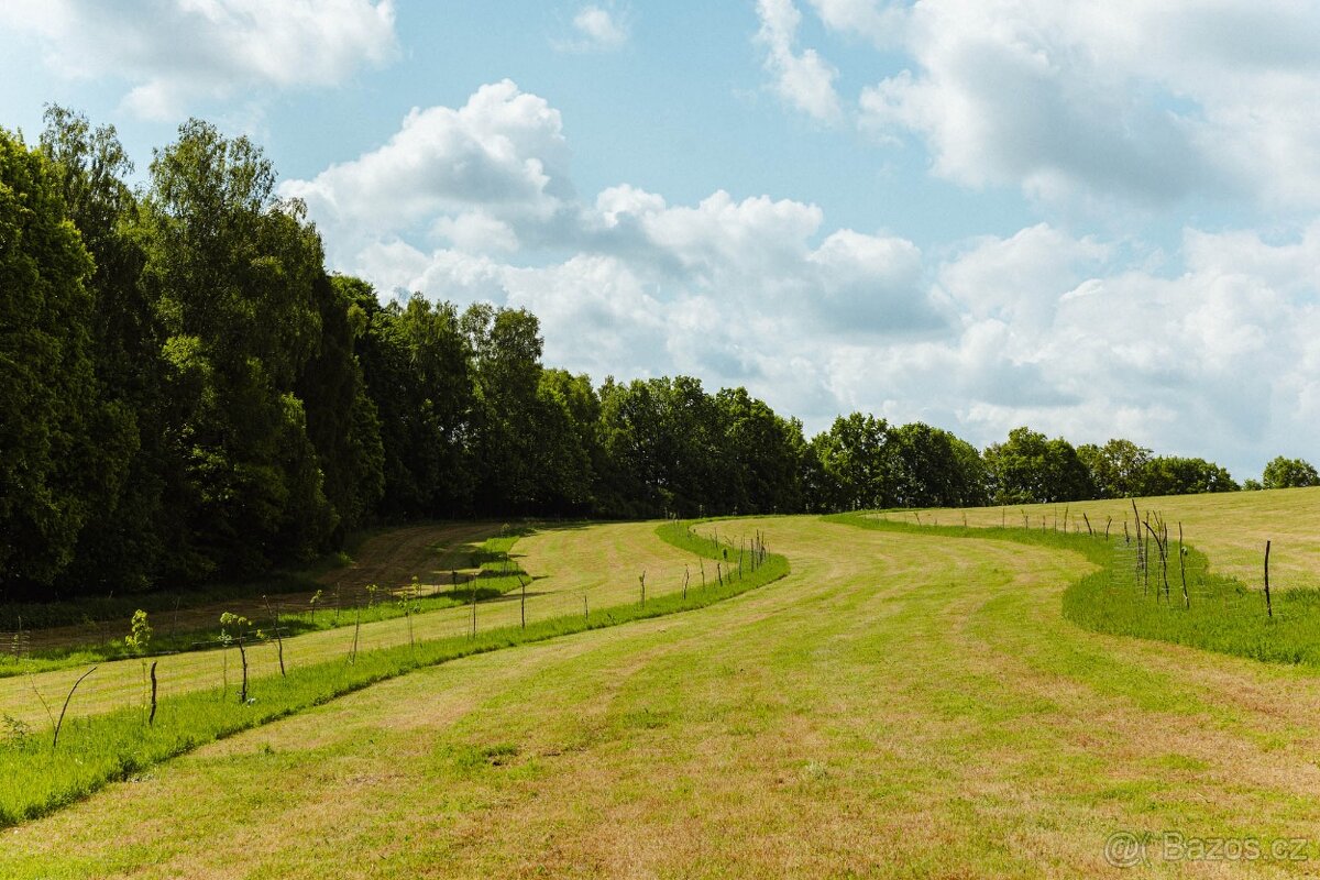 126.783m2 pozemků s velkým potenciálem rozvoje - 6