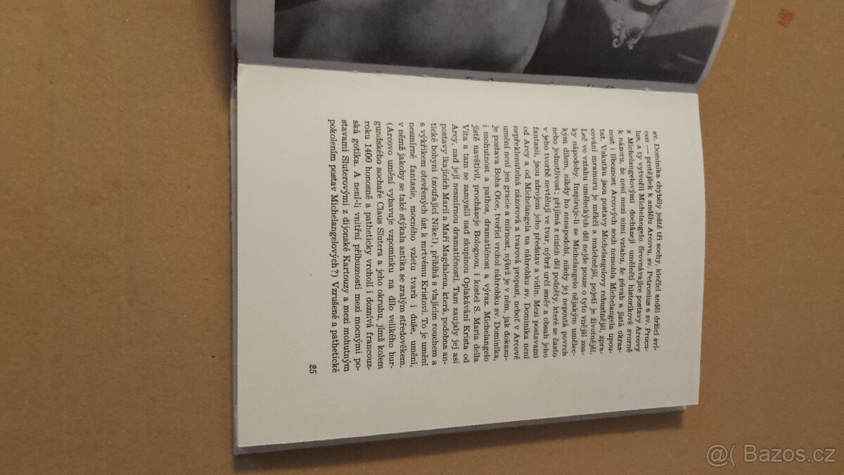 Michelangelo Buonarroti.Život a dilo - 6