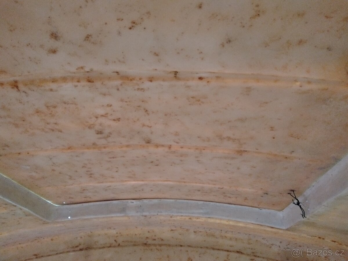 Karavan Niewiadow N126 - 6