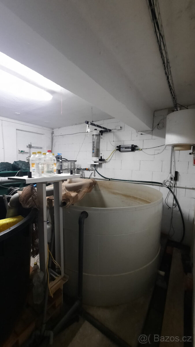 AQAPONICKA FARMA Pronajem - 6