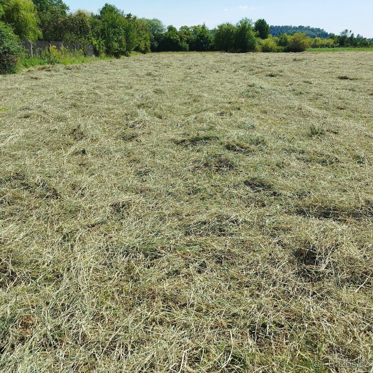 Prodám seno malé hranaté balíky - 6