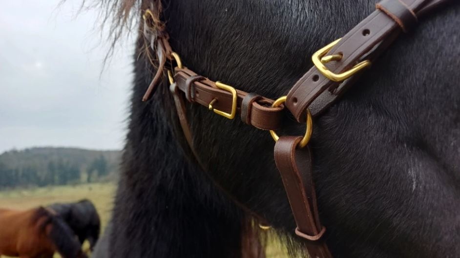 Multifunkční uzdečka s odepínacím udidlem - 6