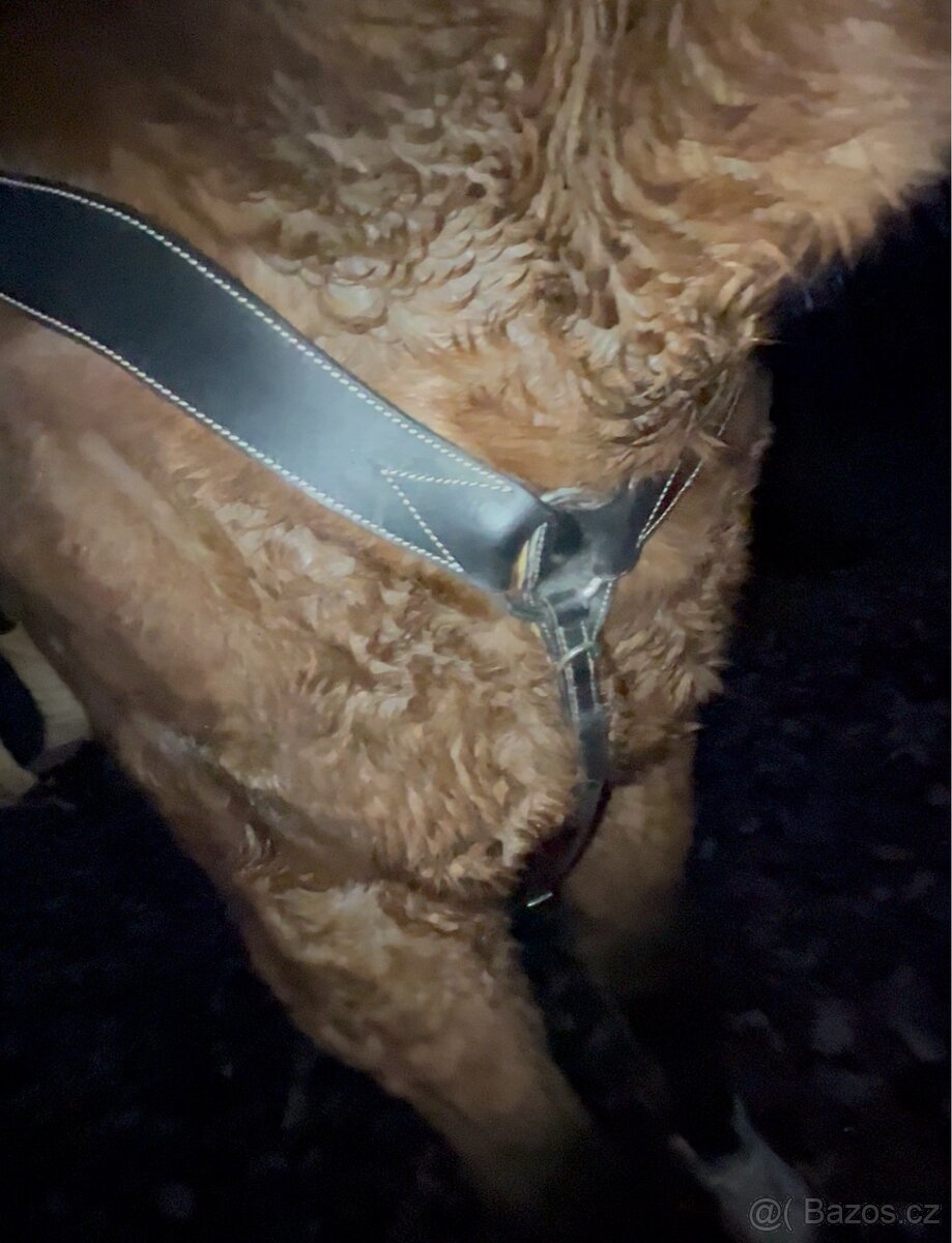 Černý kožený poprsák - 6