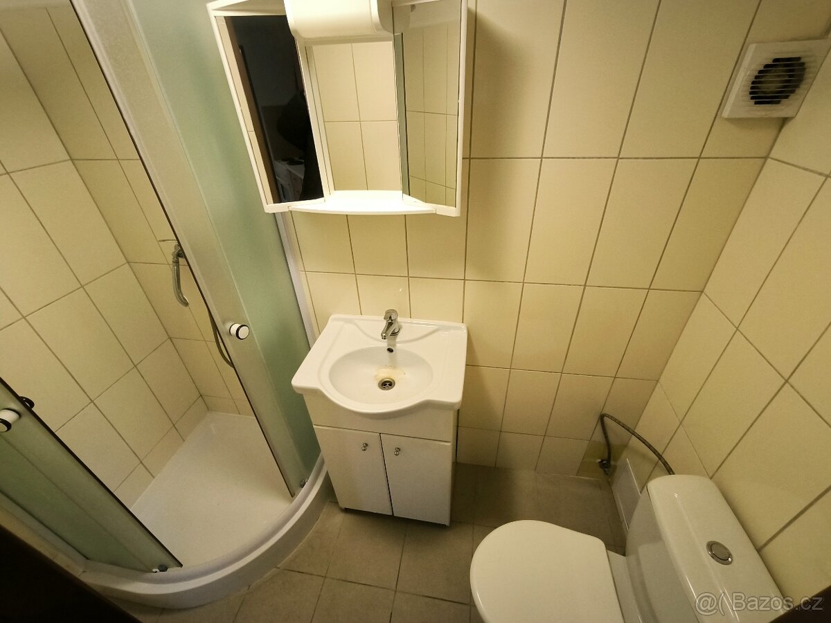 Pronájem bytu 1+1 39 m², Děčín, Teplická - 6