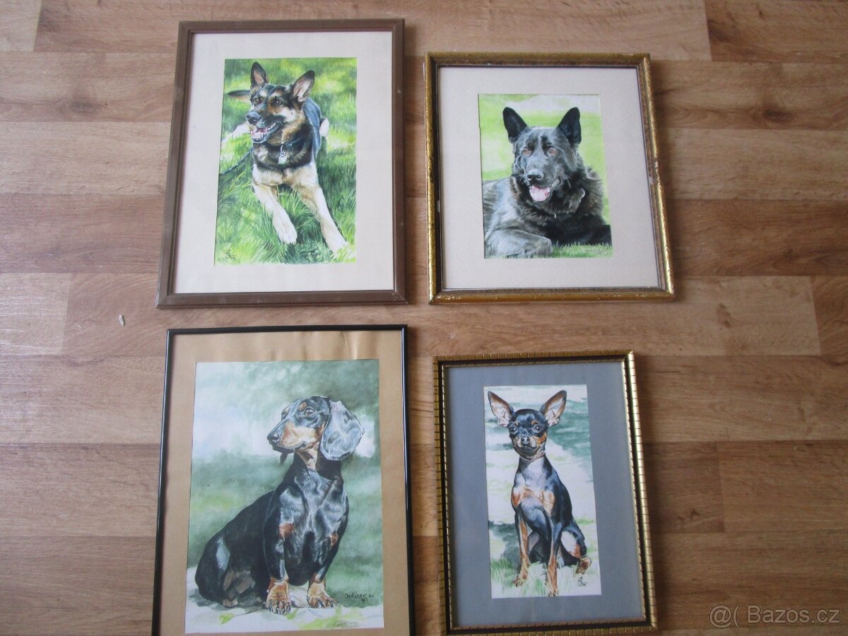 buldoček-olejomalba - 6