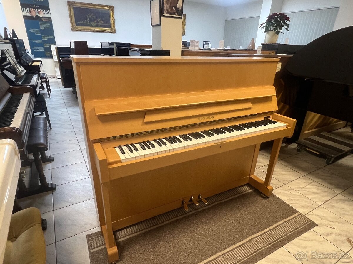 W.Hoffmann - Bechstein mod. 117 se zárukou 5 let. - 6