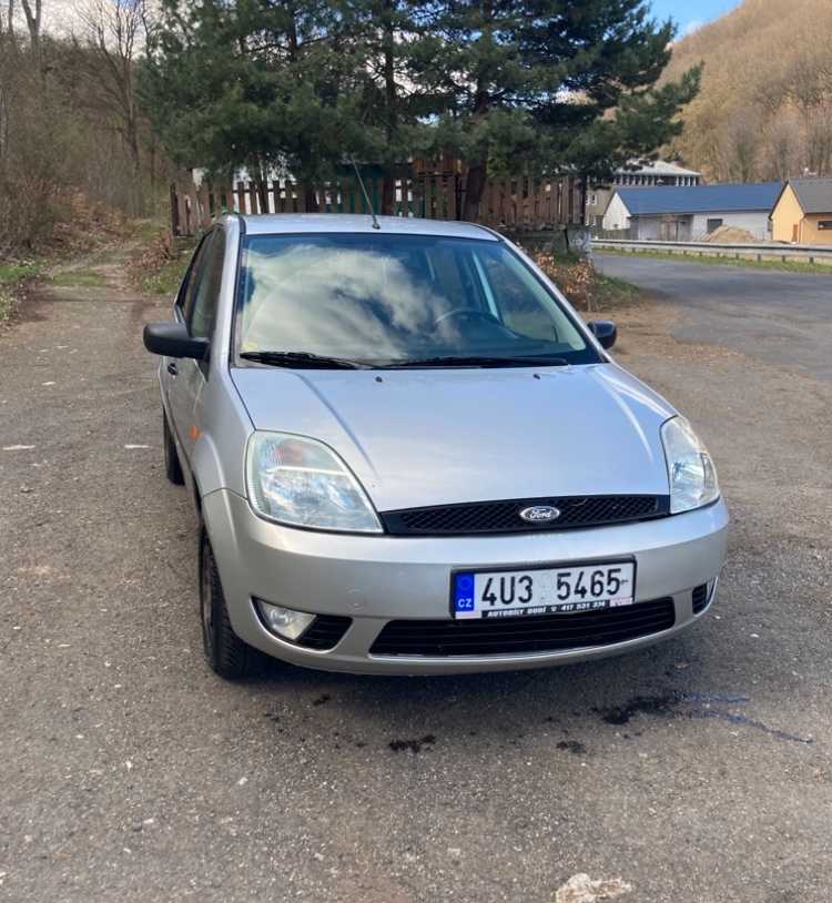 Ford Fiesta - 6