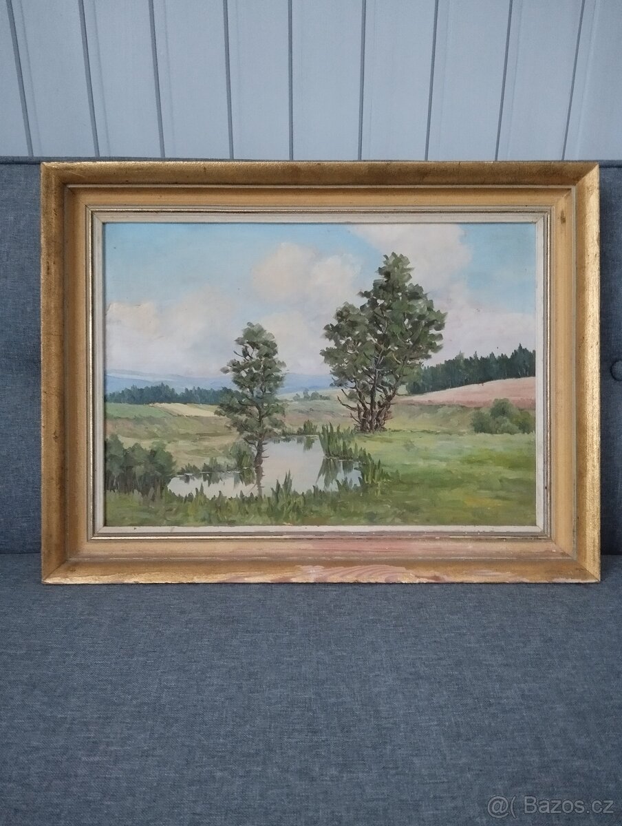 Obrazy malířů Vysočiny - 6