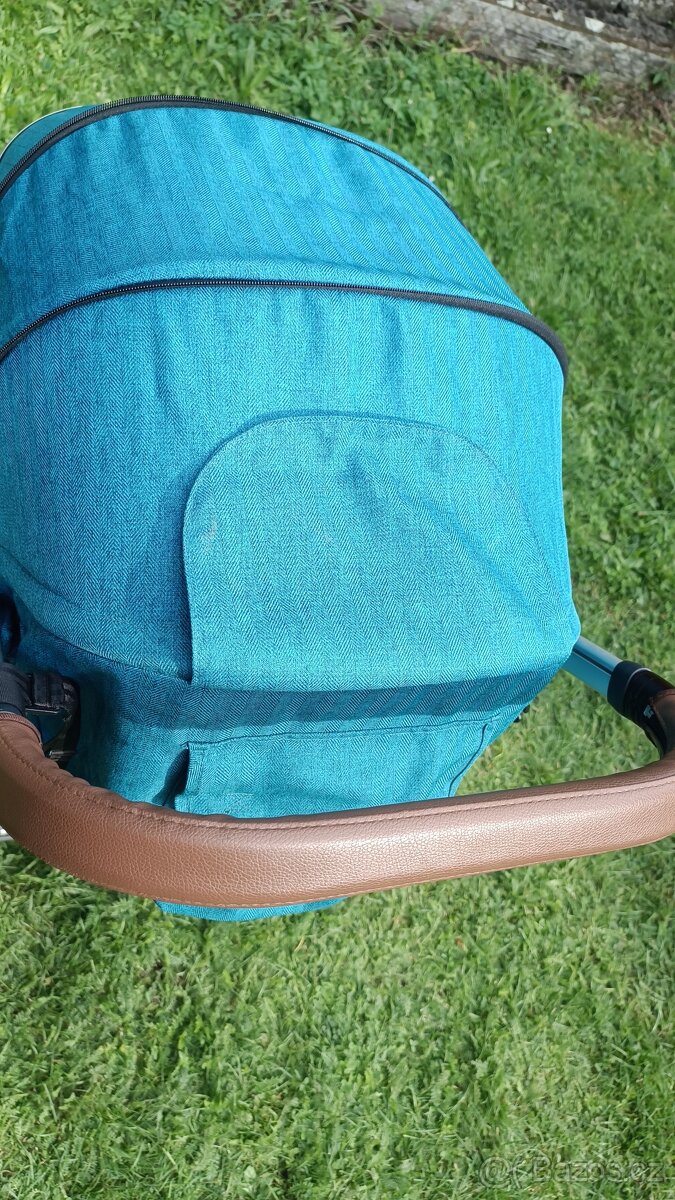 Oyster zero Peacock - 6