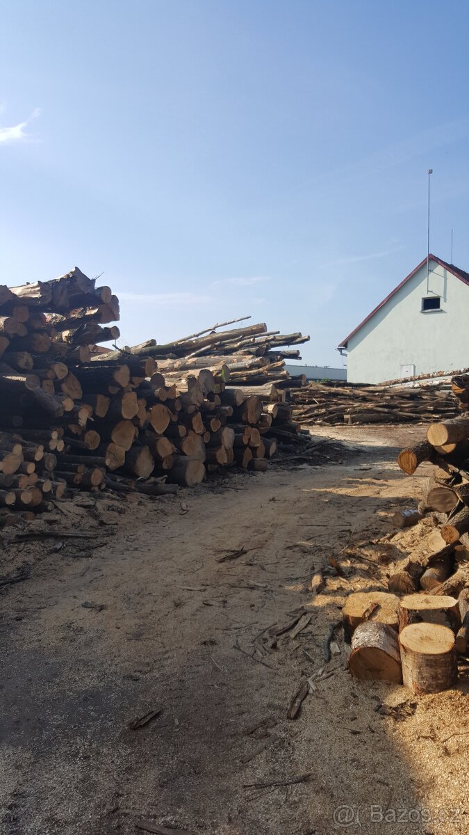 Nabízíme NEJLEVŇĚJŠÍ ŠTÍPANÉ PALIVOVÉ DŘEVO, 950 Kč/SPRM - 6