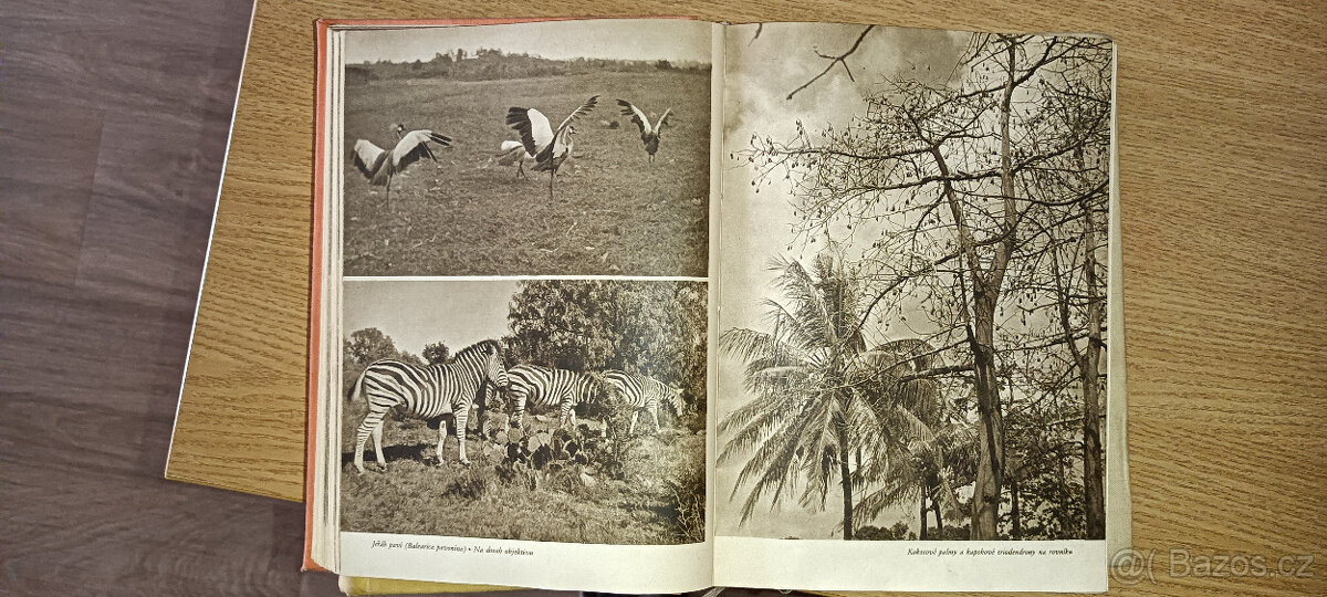 knihy Zikmund a Hanzelka - 6