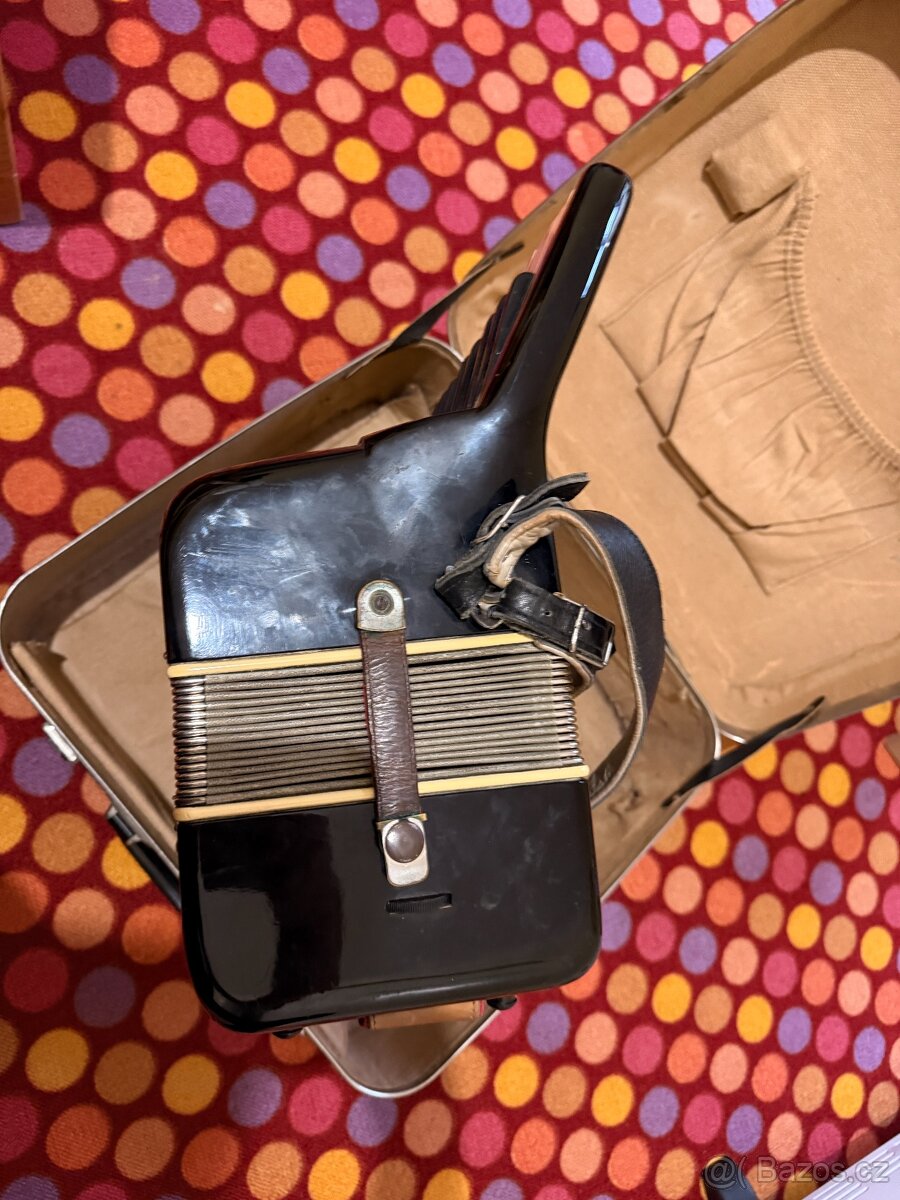 Akordeón LIGNATONE - 6