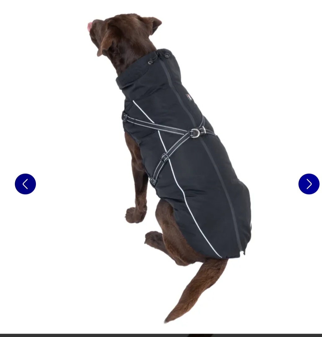 Postroj pro psa Tiaki Arkon černý 60cm - 6