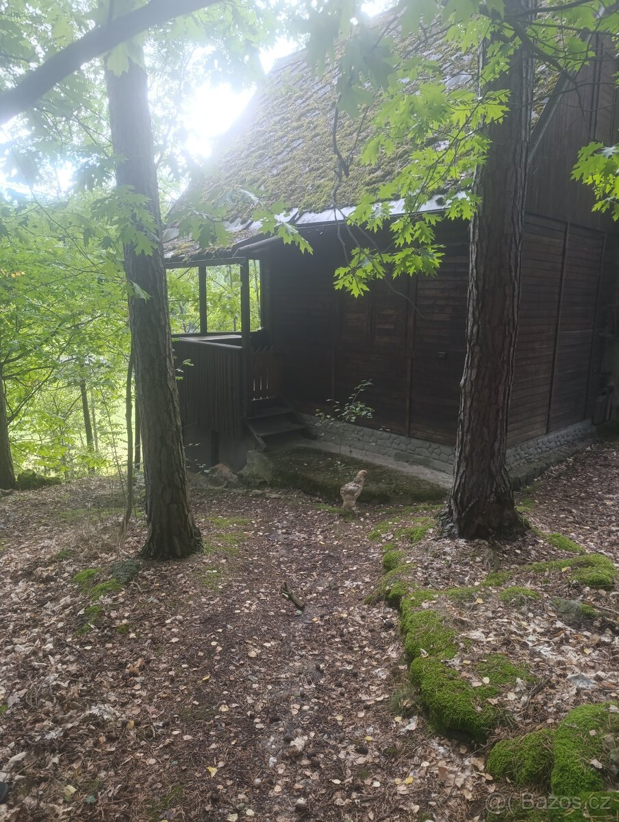 Prodám chatu - 6